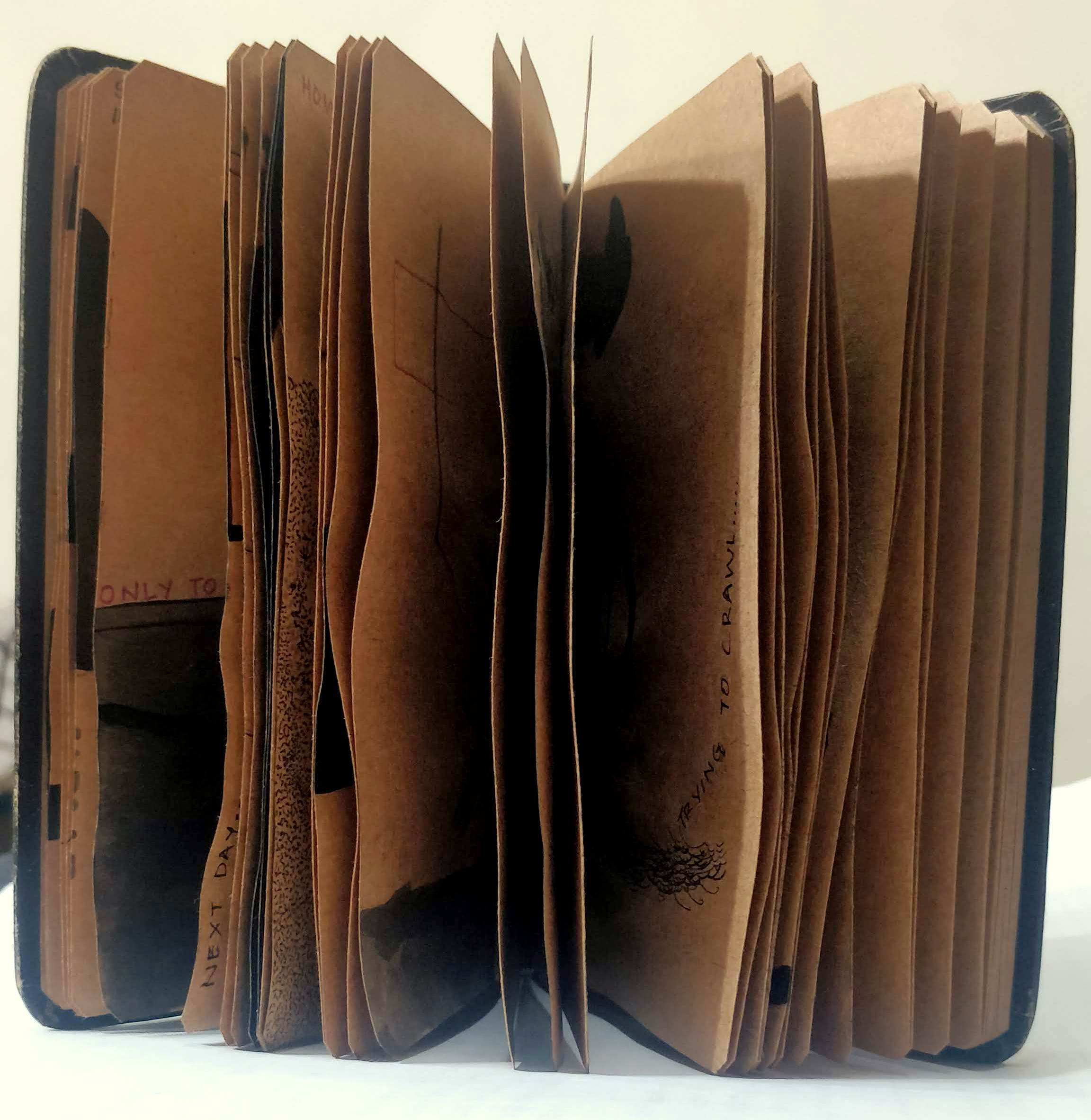 open book view